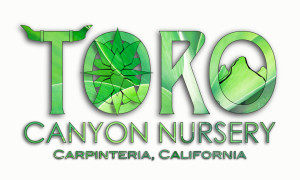 logo-toro-nursery
